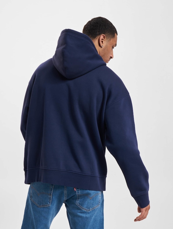 Levis T3 Relaxd Graphic Hoodie-1
