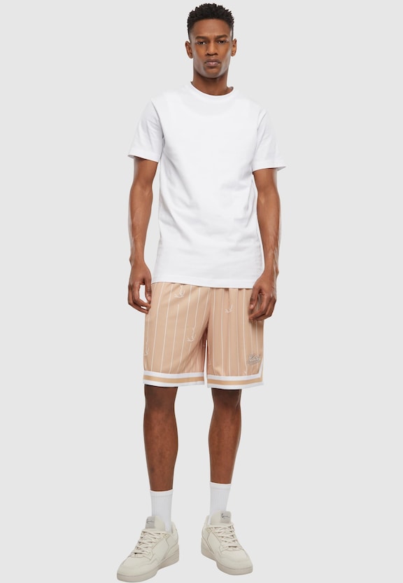KM242-012-1 Karl Kani Small Varsity Logo Pinstripe Mesh Shorts-2