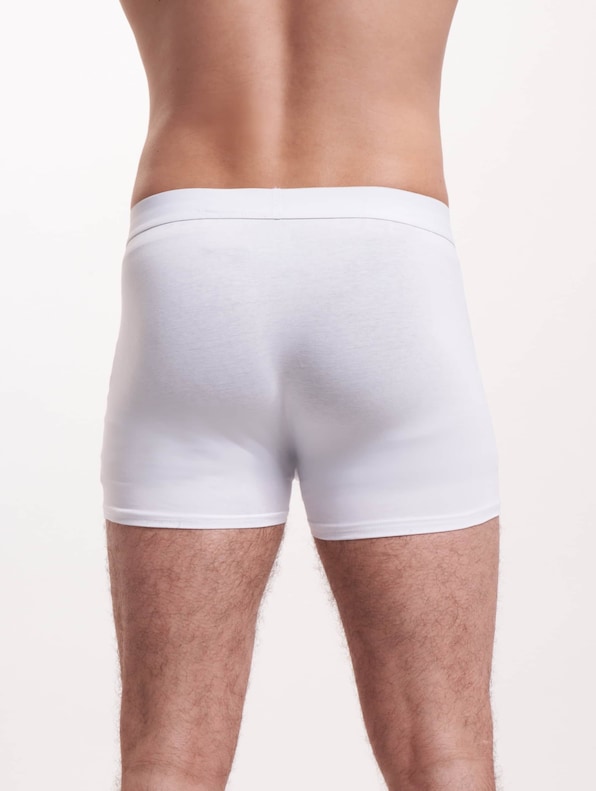 Solid Organic Cotton Boxer Shorts 5-Pack-2