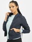 blue_10367