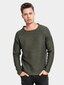 olive_10031