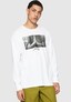 white_17509