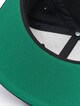 Notorious Big Logo -2