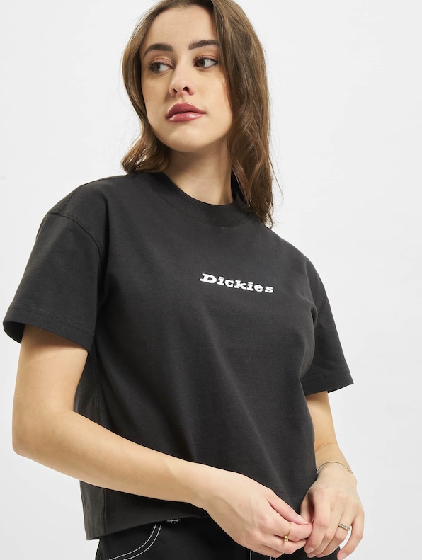 Dickies Loretto T-Shirt-0