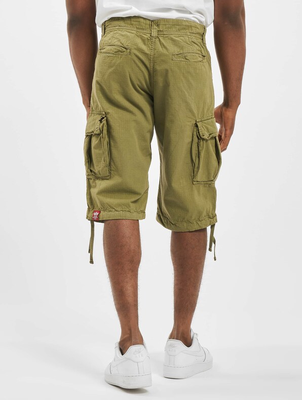 Alpha Industries Ripstop Shorts-1