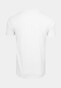 white_18277