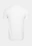 white_18277