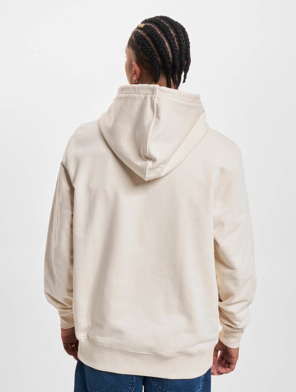 Dickies Greensburg Hoody-1