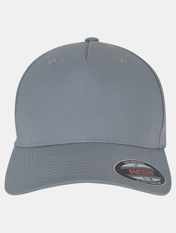 5 Panel-1