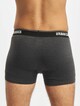 Organic Boxer Shorts 5-Pack-8