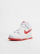 Dunk High-2