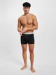 Trunk 3 Pack-10