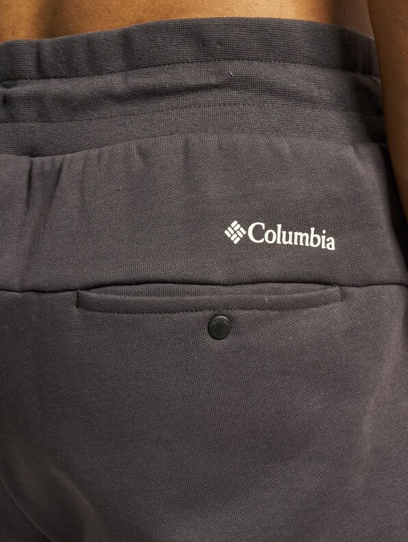 Columbia / Men's Columbia Lodge Colorblock Jogger