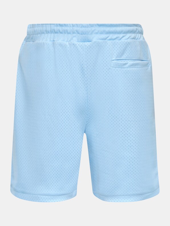 Dropsize V2 Mesh Shorts-5