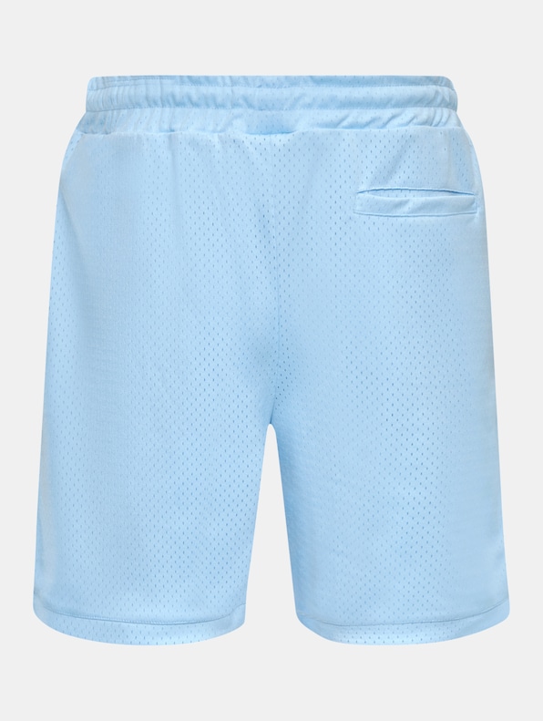 Dropsize V2 Mesh Shorts-5