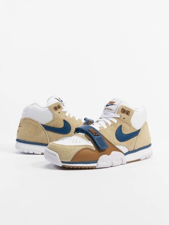 Air Trainer 1