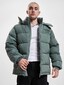 green_70478