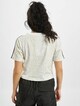Trefoil Cropped-1