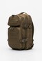 brown_37658