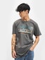 grey_18850