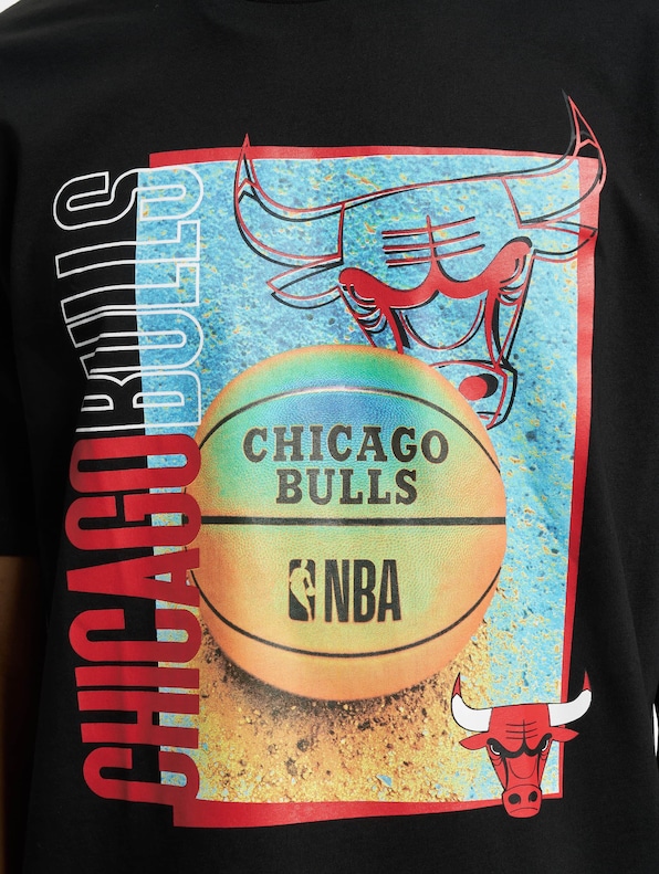 NBA Chicago Bulls Hoop-4