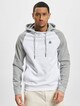 Mr. Raglan-2