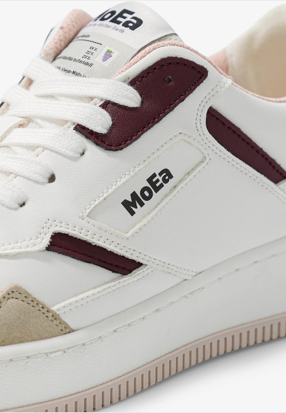 GEN1 - GRAPES -4