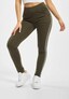 olive_22544