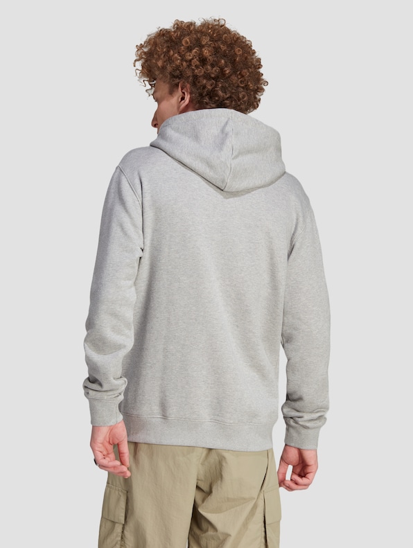 adidas Originals Trefoil Hoodies-1