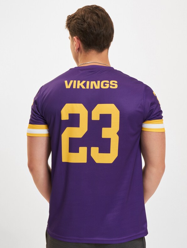 Vienna Vikings Fan-2