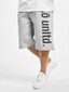 grey_27785