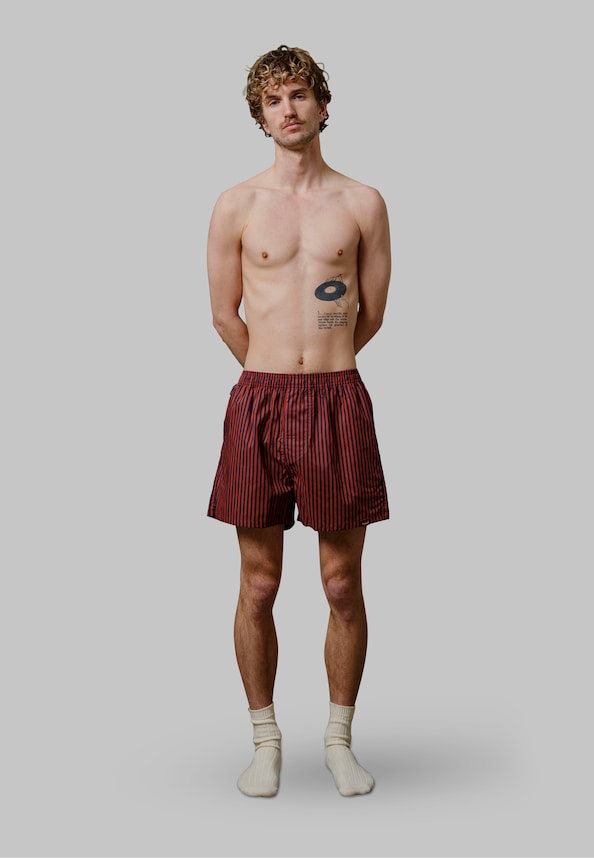 2-Pack Striped Boxers NR/PC-2