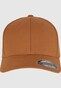 brown_149404