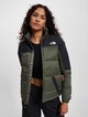 The North Face Winterjacke-0