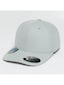 silver_56349