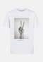 white_151712