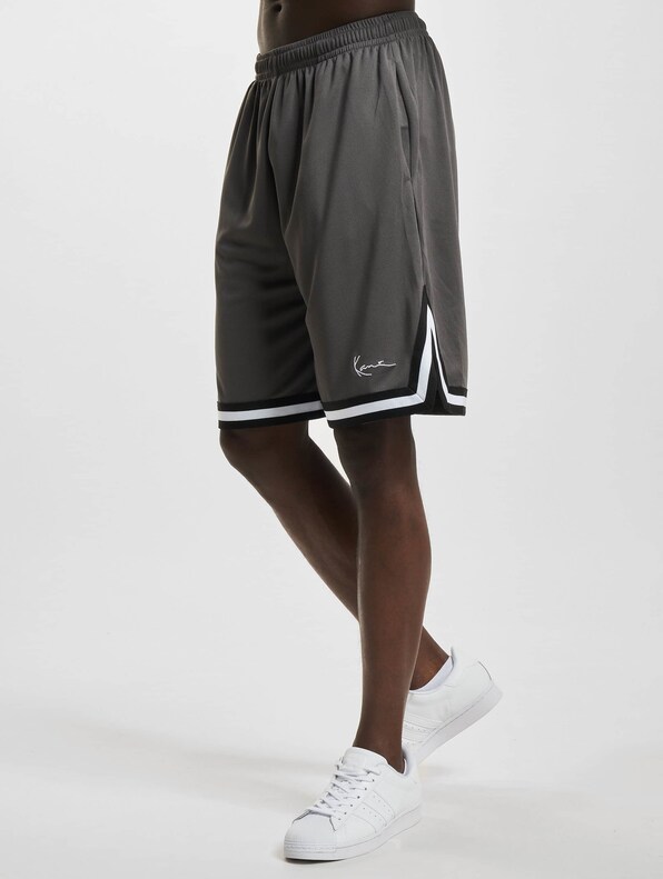 Small Signature Essential Mesh -2