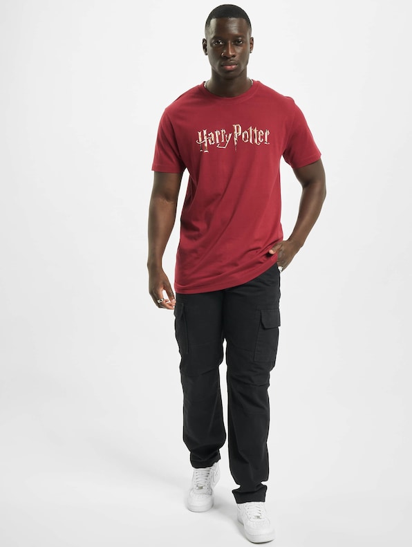 Harry Potter Logo-3