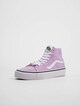 SK8 HI Tapered-2