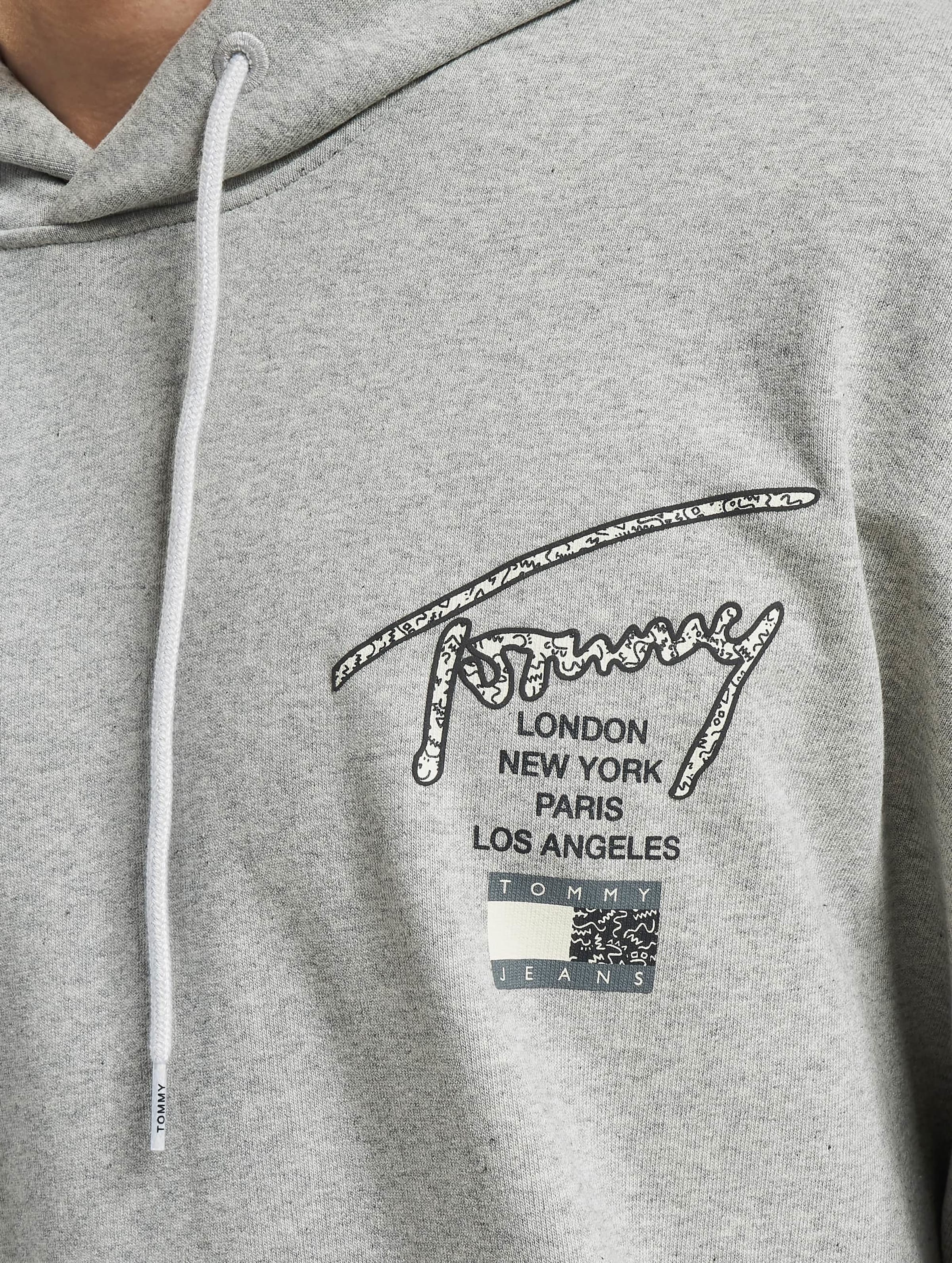 Tommy jeans hotsell signature pullover hoodie