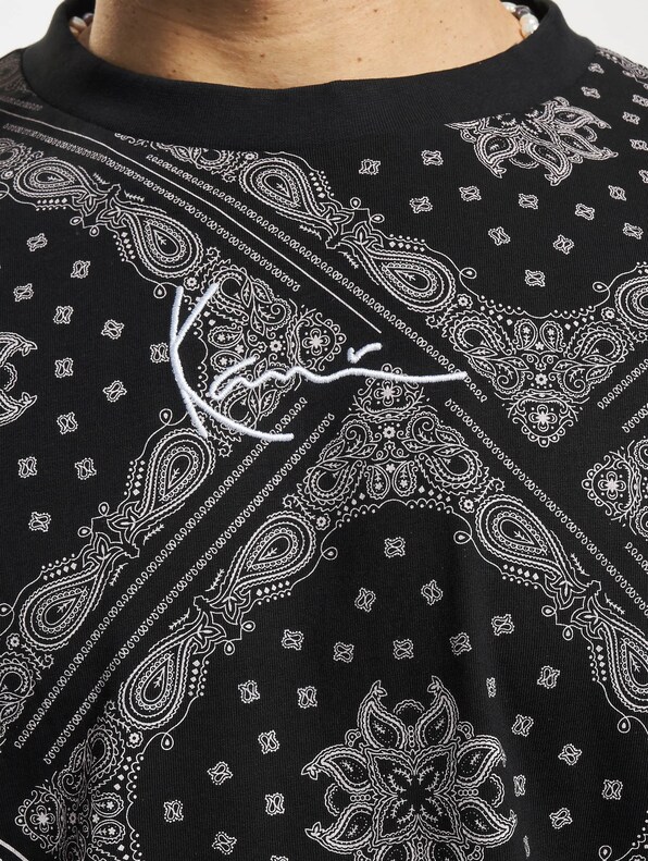 Small Signature Paisley -3