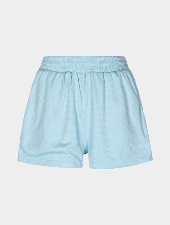 Small Signature Mesh Shorts-0