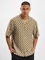 olive_100560