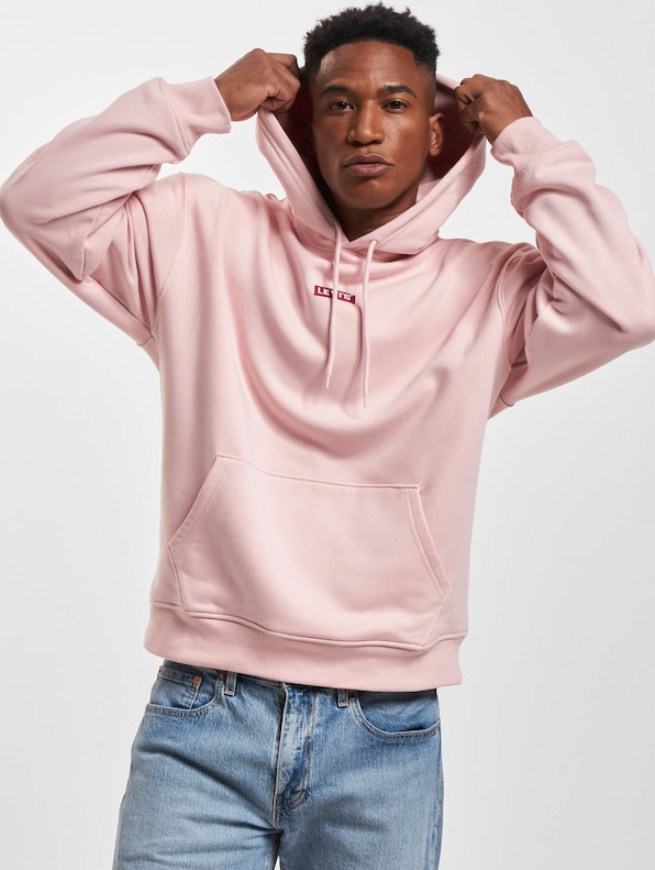Levi's Relaxed Baby Tab Hoodies-0