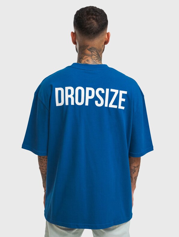 Dropsize Heavy Oversize HD Print T-Shirts-2