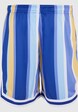KM241-043-1 Karl Kani Small Signature Striped Mesh Shorts-4