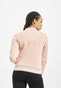 rose_8867
