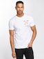white_16647