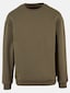 olive_148828