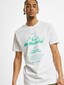 white_17871